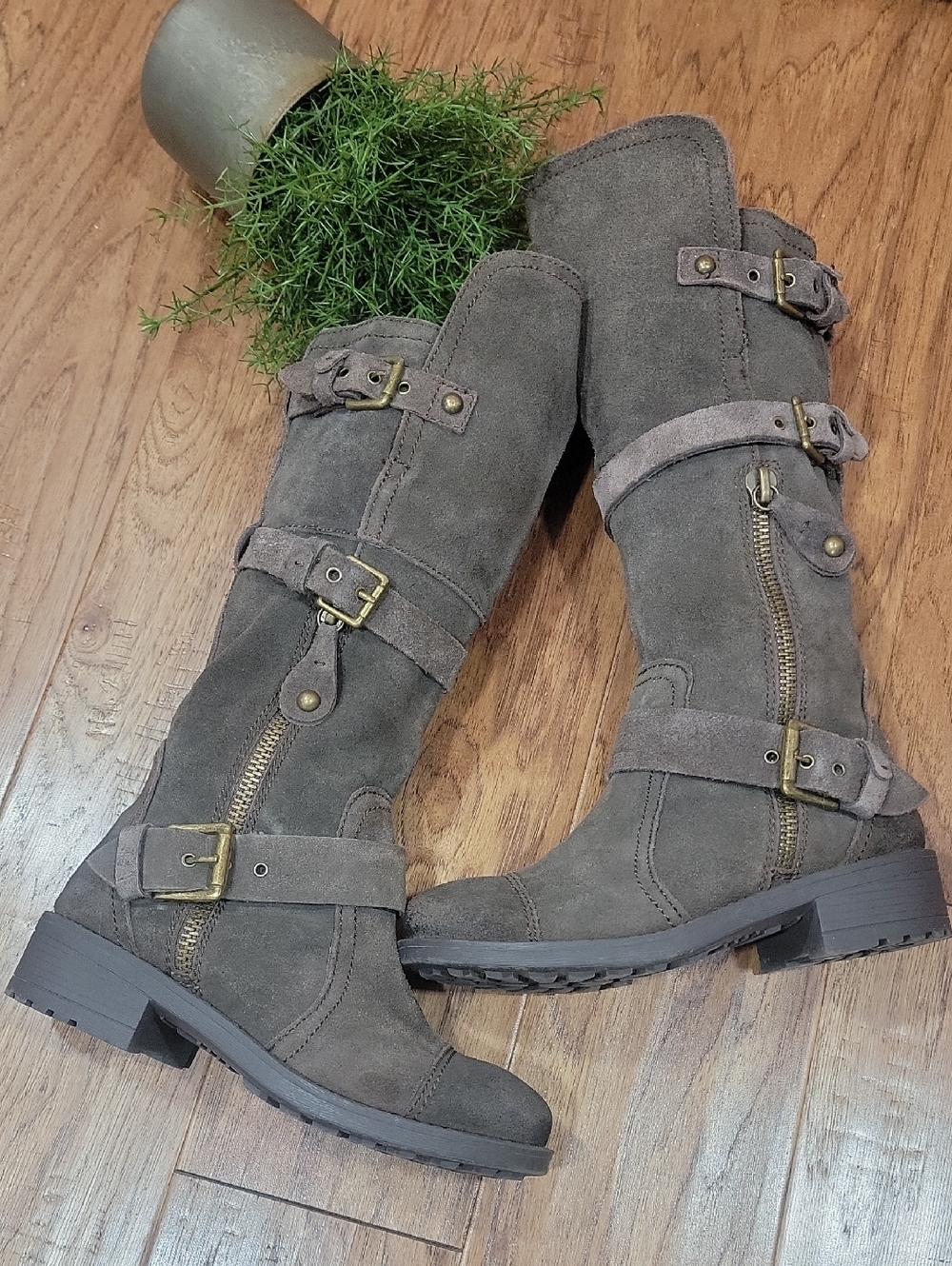 Mojo Moxy Suede Moto Boots 6